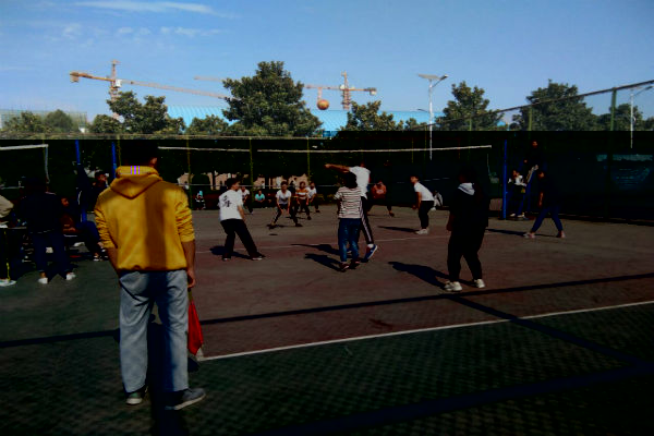 1510109554734683.jpg 1107_4.jpg