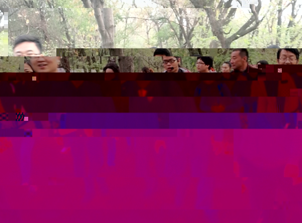 1510555618859571.jpg WuTa_2017-11-12_09-59-12.jpg